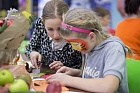 �������� �� ���������������